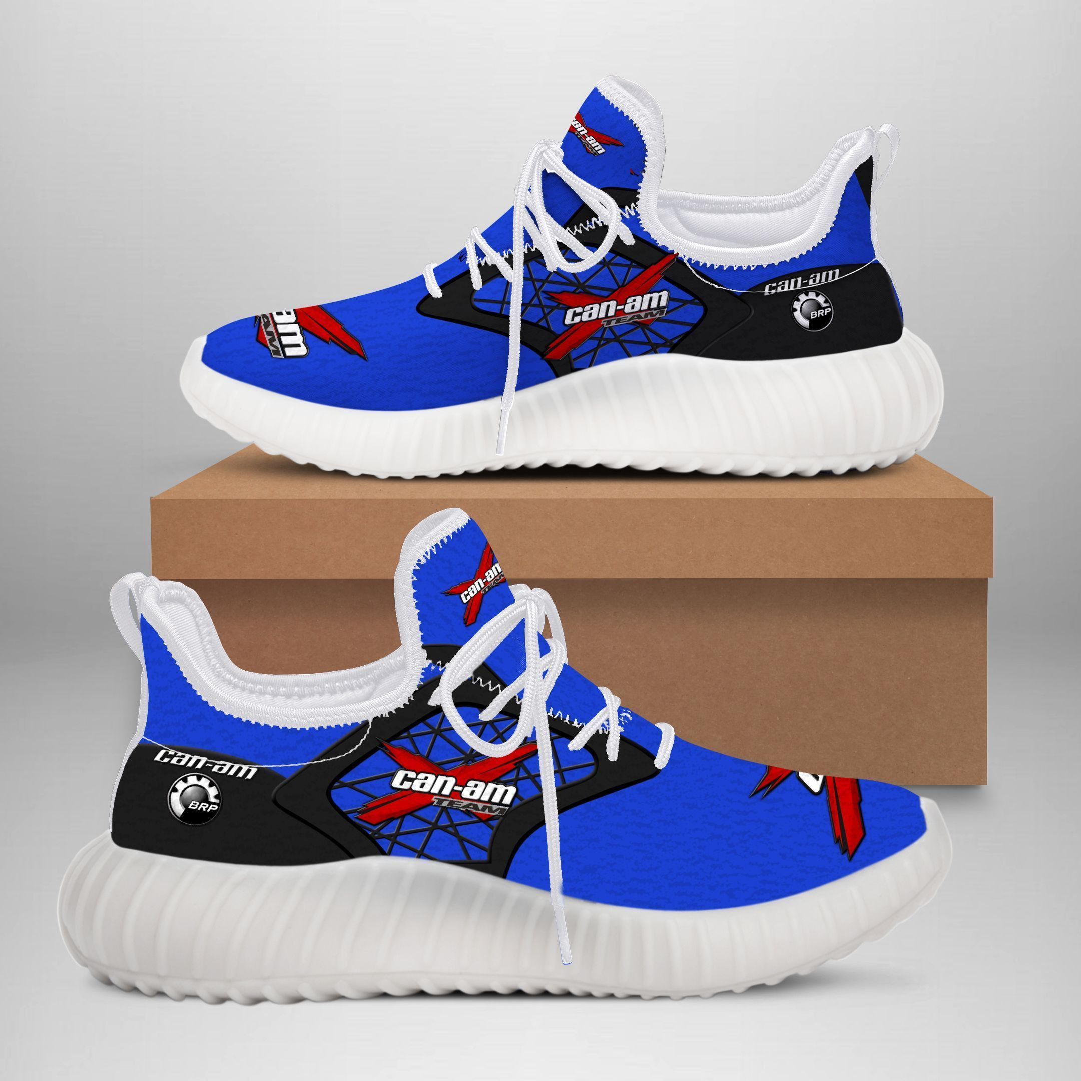 Can-am YZ Schuhe Ver1 (Blau)