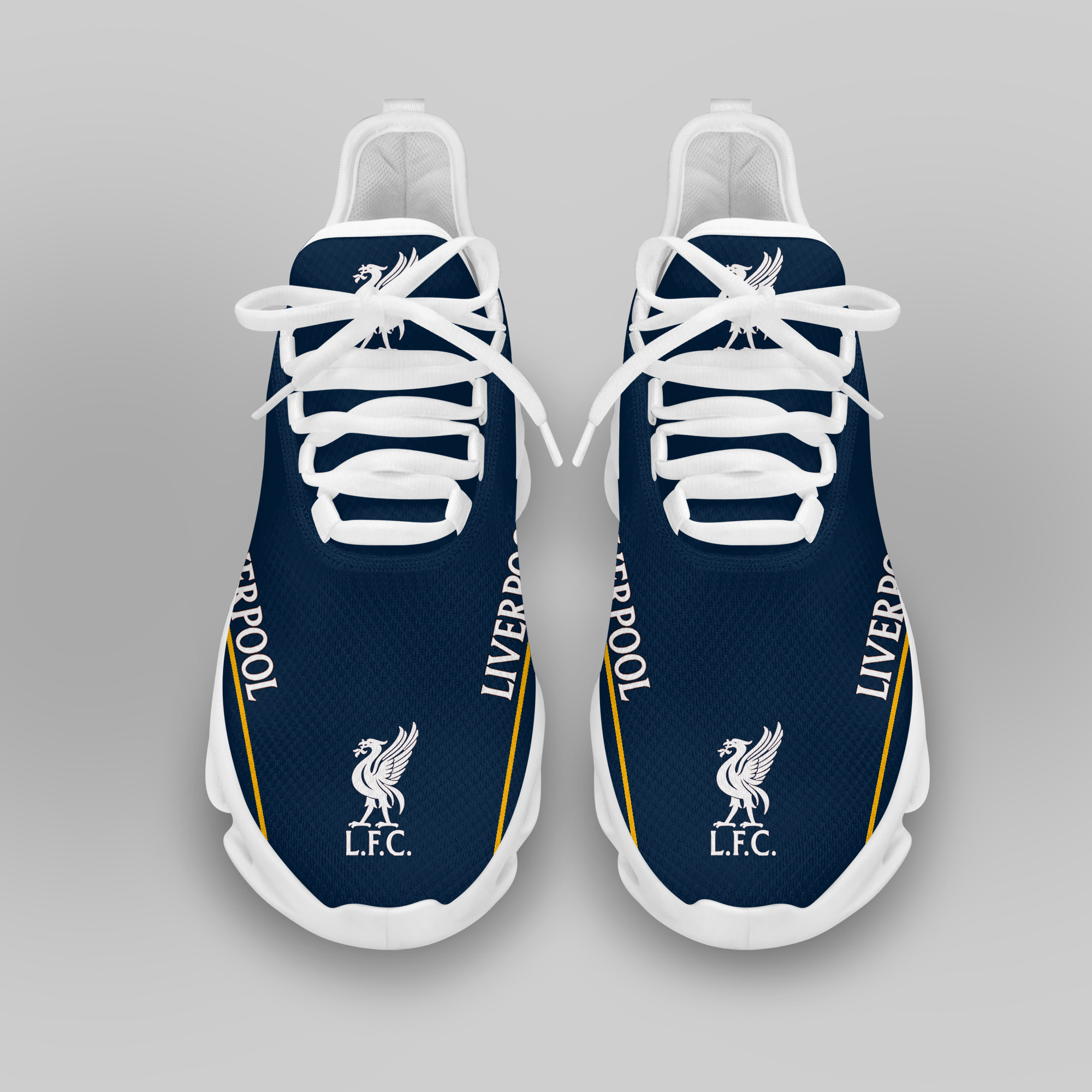 Liverpool FC LAUFSCHUHE VER 14