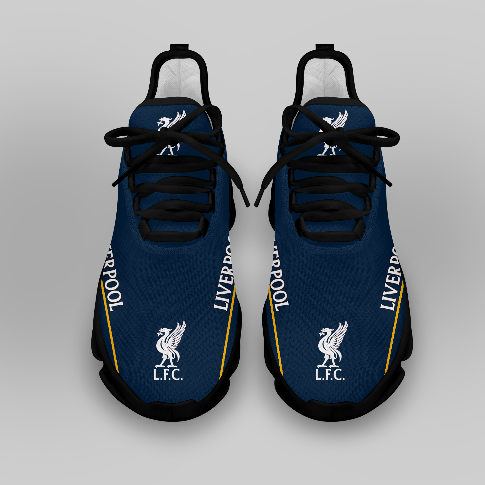 Liverpool FC LAUFSCHUHE VER 14