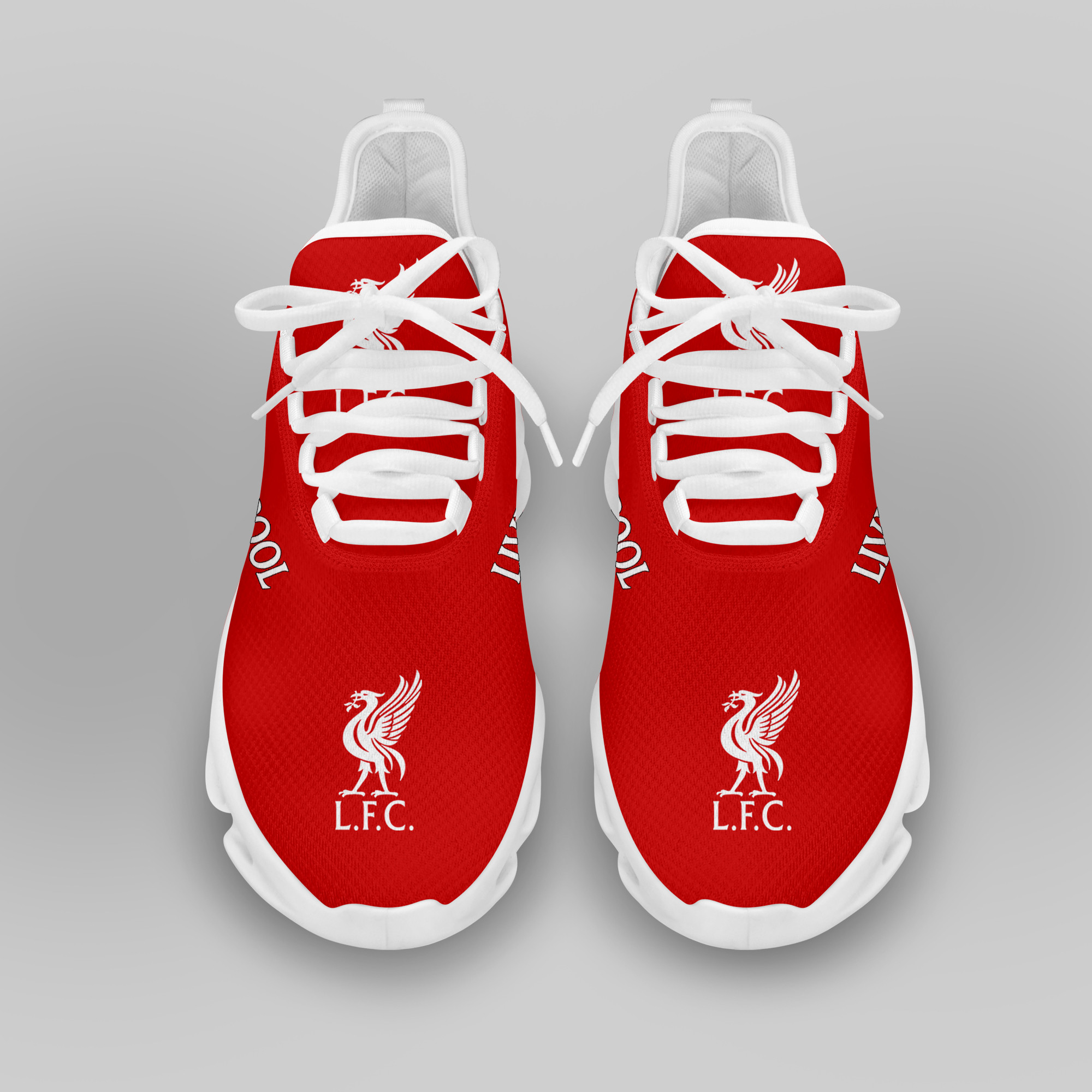 Liverpool FC LAUFSCHUHE VER 16