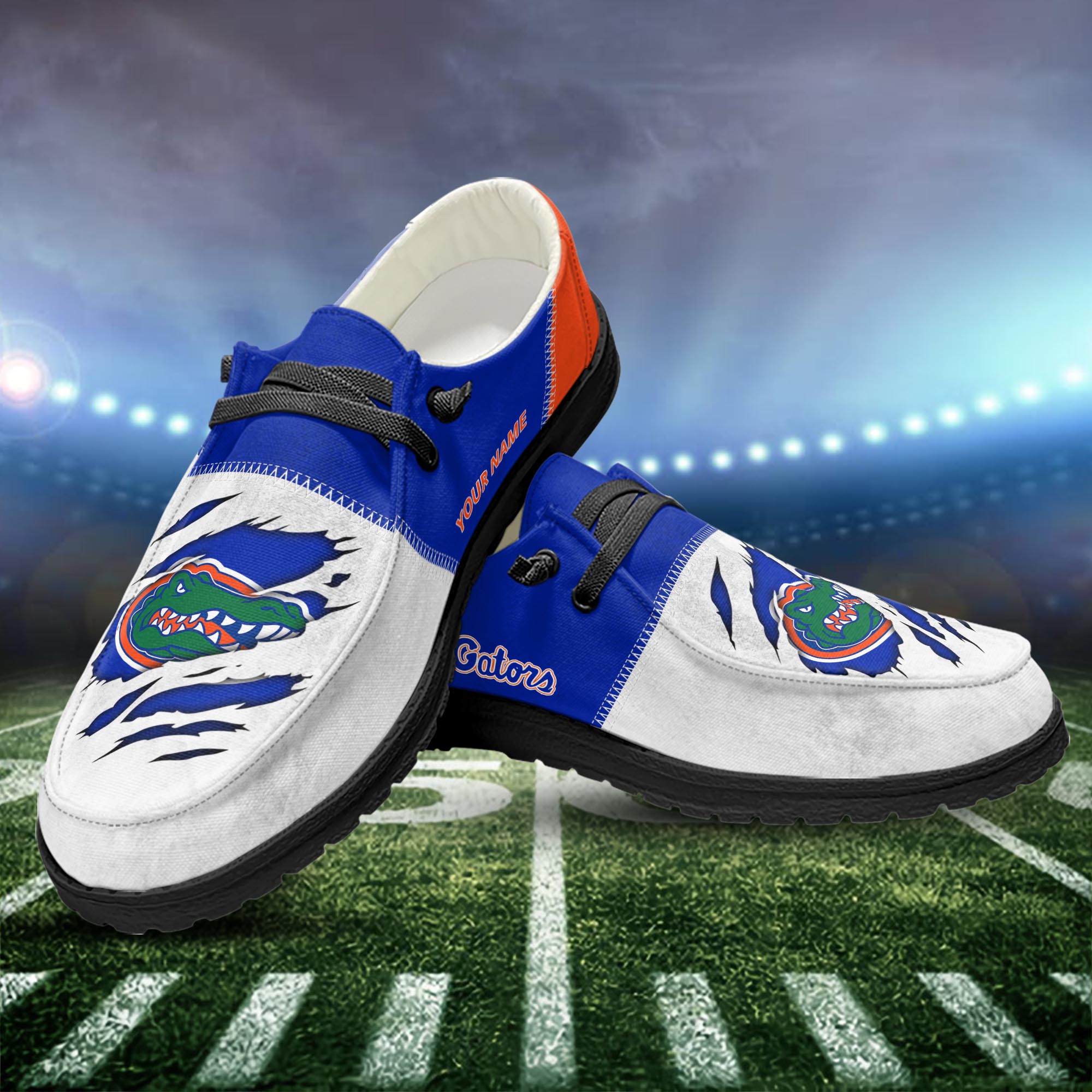 Personalisierte H-D-Sportschuhe der Florida Gators – individuelles Namensdesign